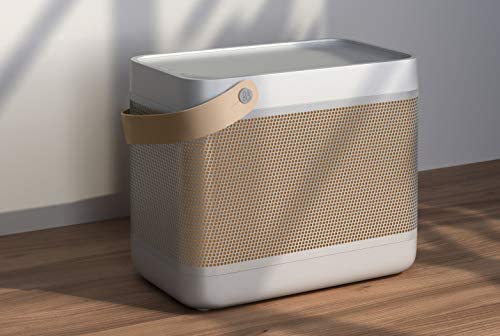 Bang & Olufsen Beolit 20 Highly effective Transportable Wi-fi Bluetooth Speaker, Gray Mist