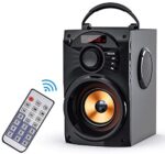 EIFER Portable Bluetooth Speakers Subwoofer Heavy Bass Bluetooth Speaker Wireless Rechargeable Speaker Line in Speakers Remote Control FM Radio TF Card for Room Home Party Phone PC (Black)