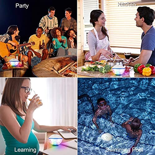 Pool Bluetooth Audio system with LED Lights